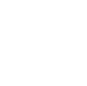 Important Icon